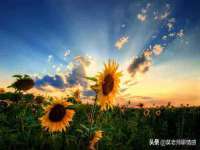 阳泉市华益祥商贸有限公司