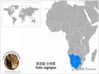 阳泉市华益祥商贸有限公司