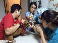 阳泉市华益祥商贸有限公司